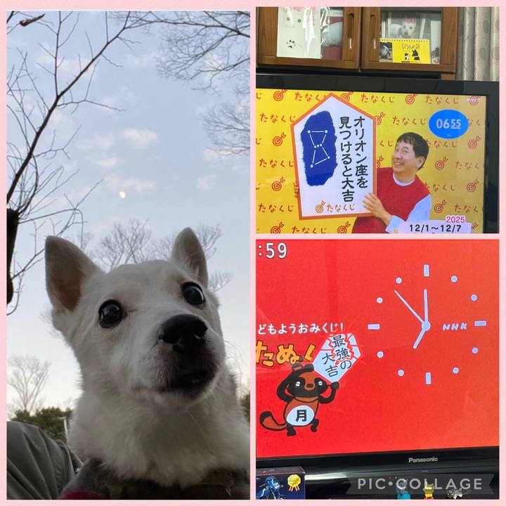 097ed6ee 51ee 4eb3 b726 27a93e49ab19 1764540288312