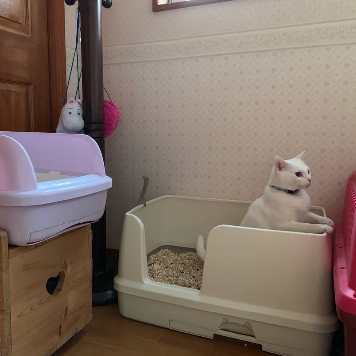 097f2fc8 9b2b 41d4 b087 d41fe3b1e310 1555366921863