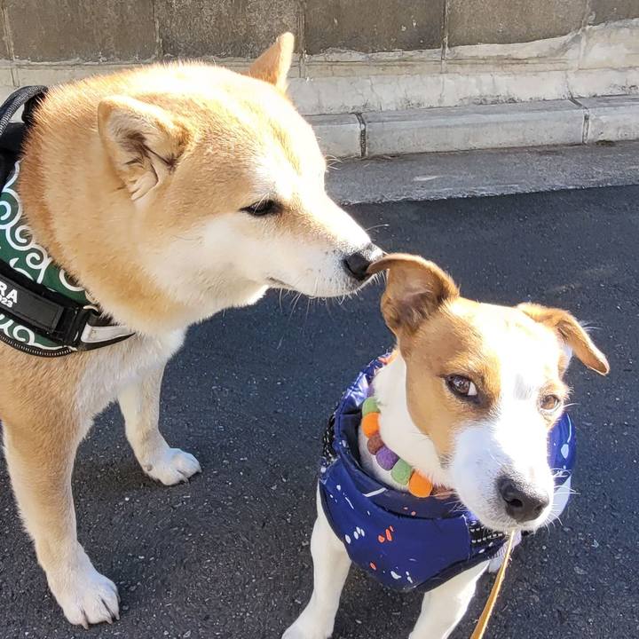 097f7528 2e10 41dd 8749 d2533739bf4e 1706398142135