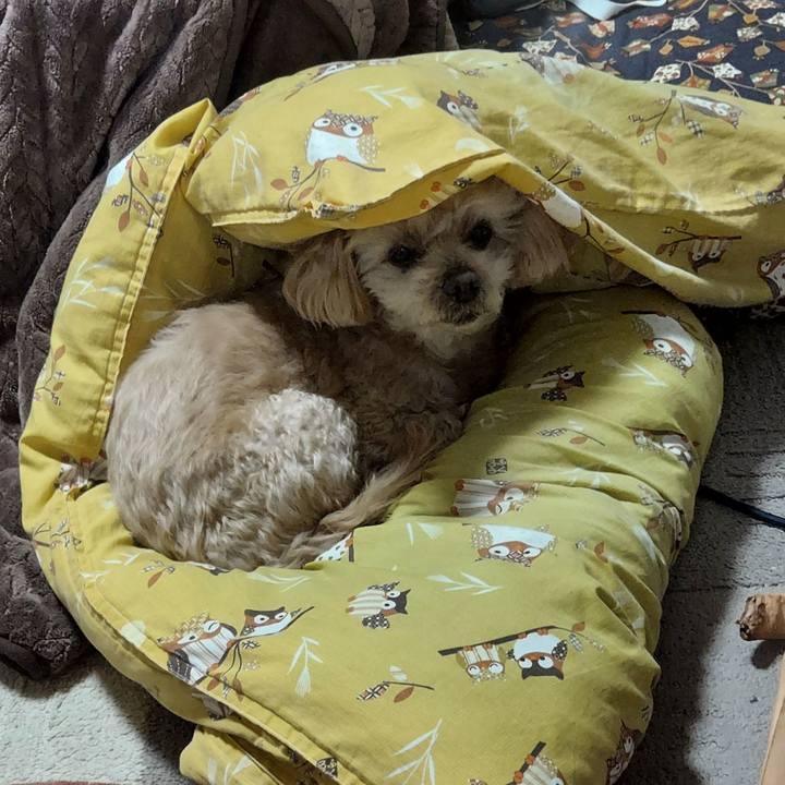 097f8bf5 f5cd 4c2d a62d a53c69df88f3 1708980302965