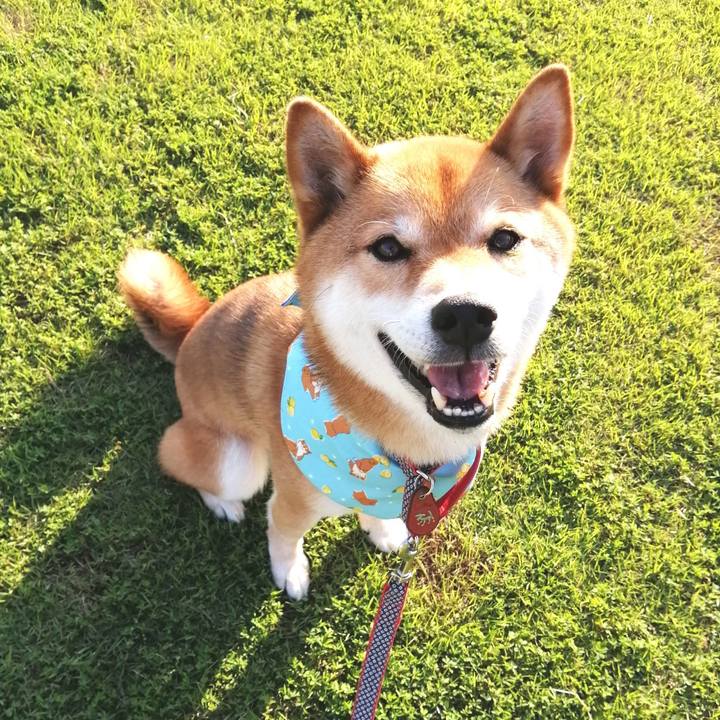 097f962d 2727 4060 9748 47b74a112016 1592304087436