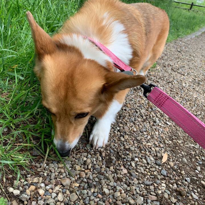 097fb97b a982 4ddd b66c 5b65c9632df5 1589086406714