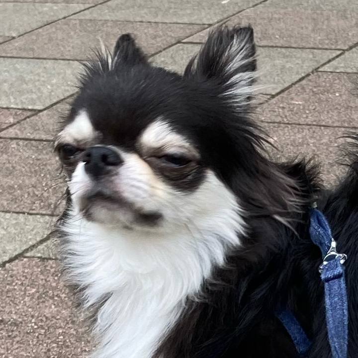 097fbed3 2f30 4291 97a2 d90853ad17f4 1662867366886