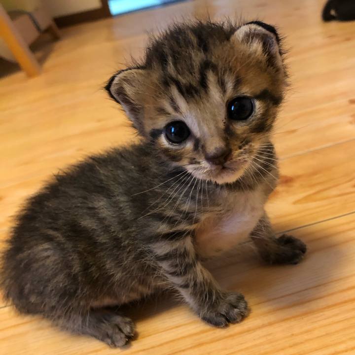 097fc0e9 6d08 4ad2 828b e62e051e0984 1596716394974