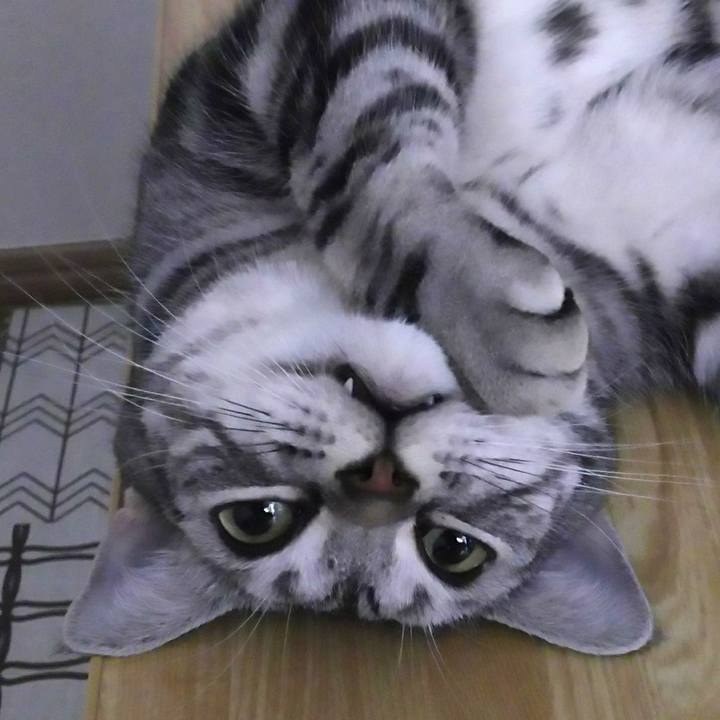 097fc26b f7d8 4f5a b622 59fa6442f0e0 1591361510754