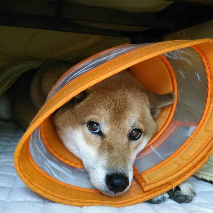 097ff532 590c 4523 9300 16d93bf909e5 1508216384538