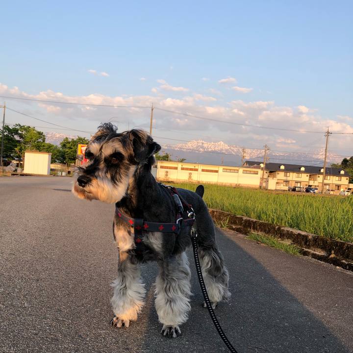 09800e16 d7b6 4ff9 98d2 180f33f10292 1651759107518