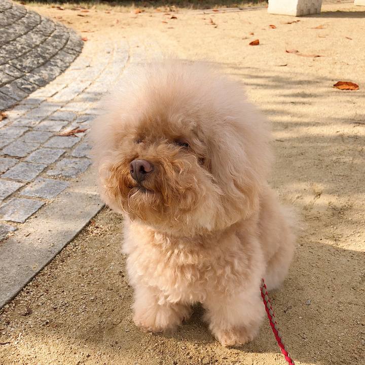 09802af6 8e07 424a b3c4 0cd02e48daca 1540437881605