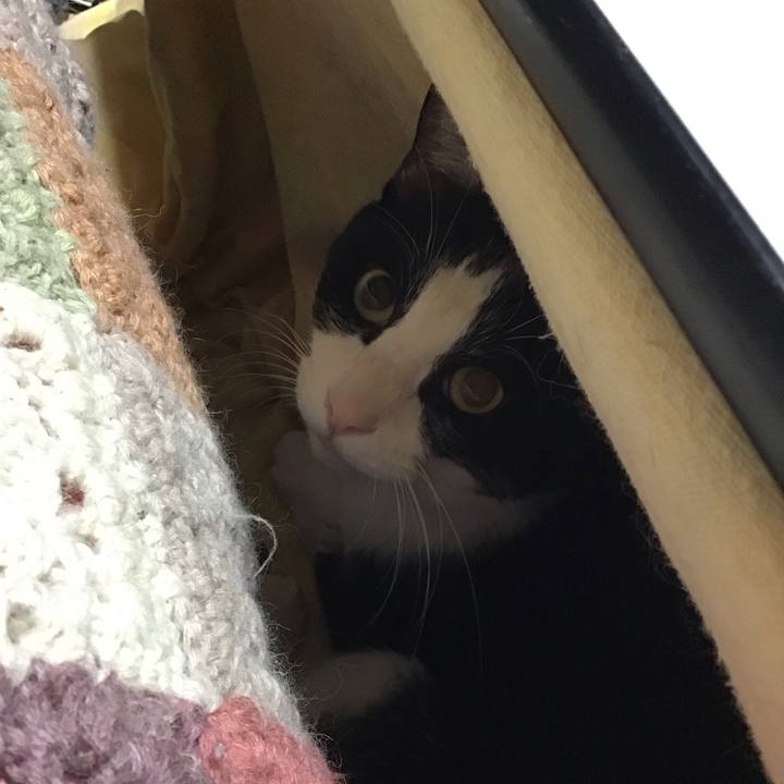 09803451 40ee 4f99 8fd9 9724fc91d7f6 1762862124399