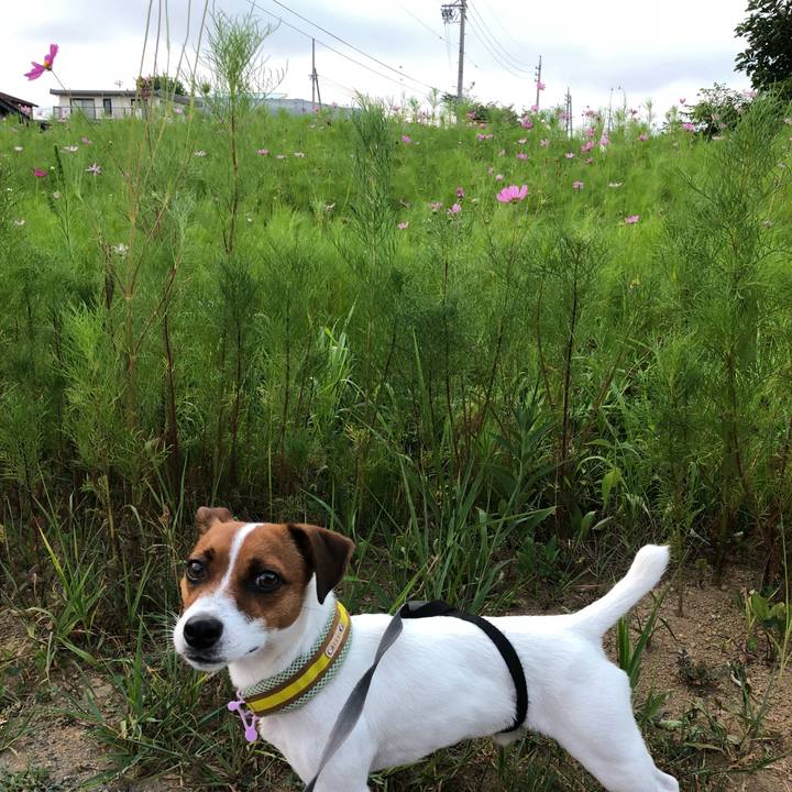 09804b87 3d99 436a a160 5ae16a99b0e6 1533295882408