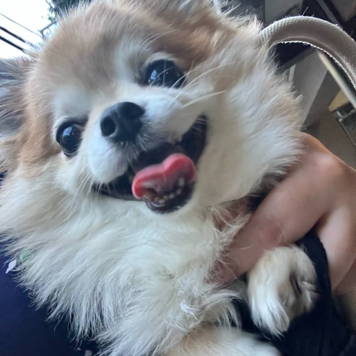 09805269 8c65 44c7 9466 ce0db710ee5c 1757332996424