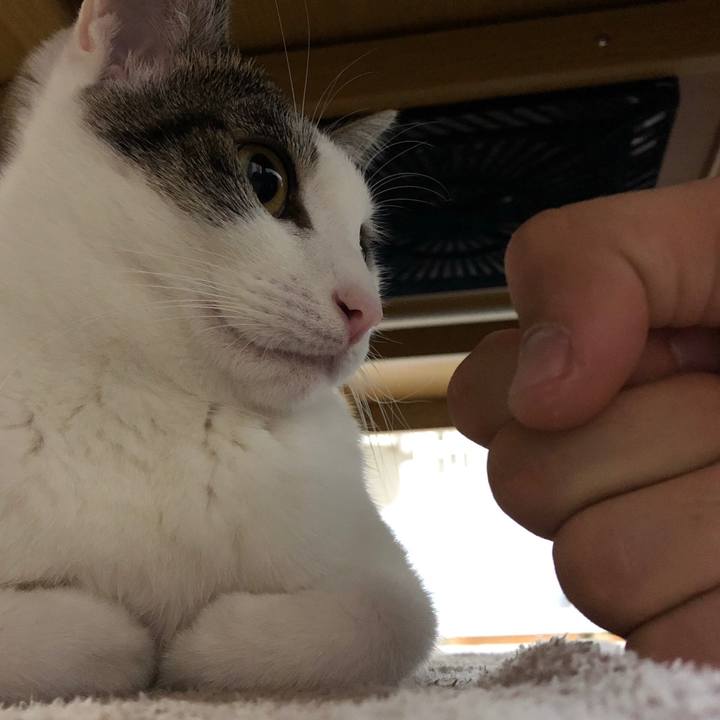 098052a6 77b6 46b7 9d40 36e123fd0387 1605883495253