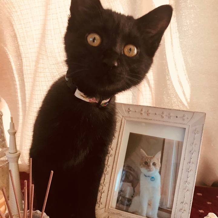 09806a31 7967 41f3 99b4 b46e20284863 1515547360956