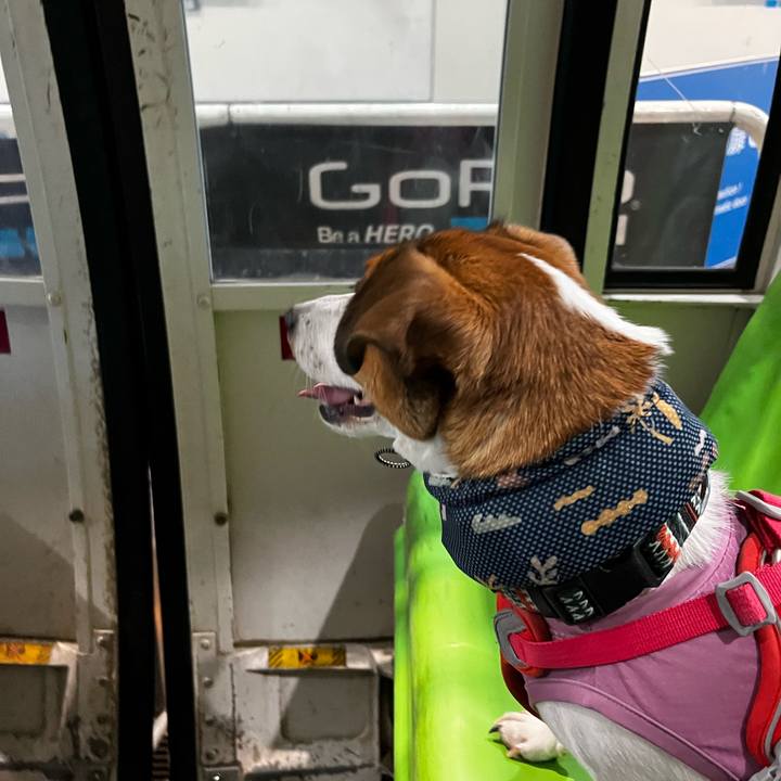 0980dcef e1f0 40f1 a3d2 deb4483d0f69 1753156089613