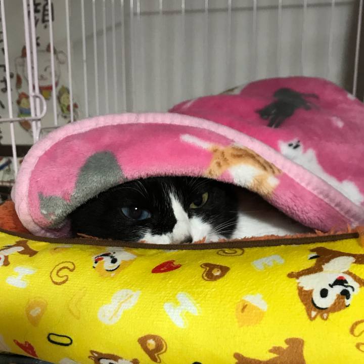 09811afe db8f 456c b4ef 0552afaa0314 1666869606528