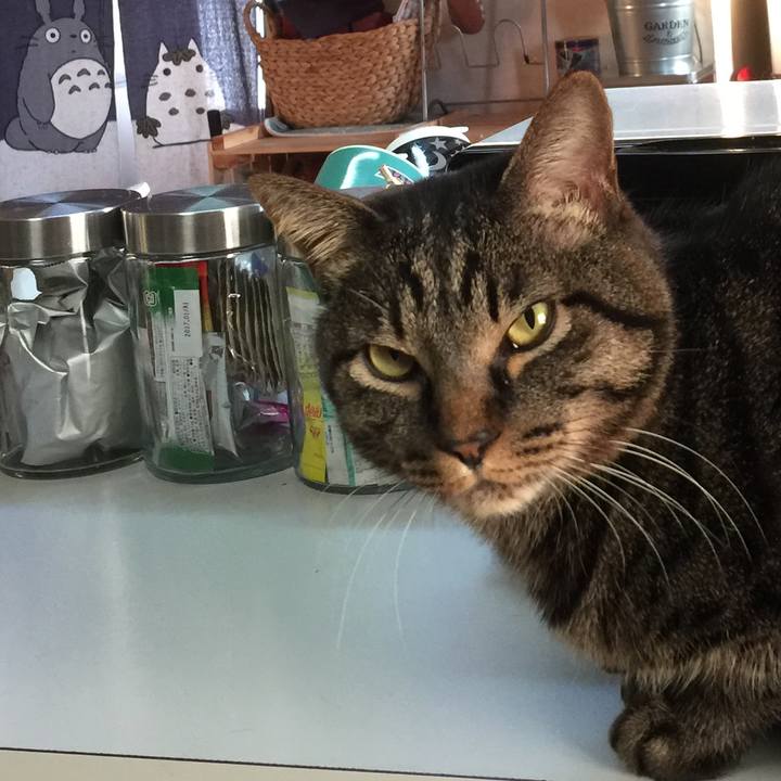 09811be3 671c 4caa 8e36 ab47f48d4d9f 1519341751853