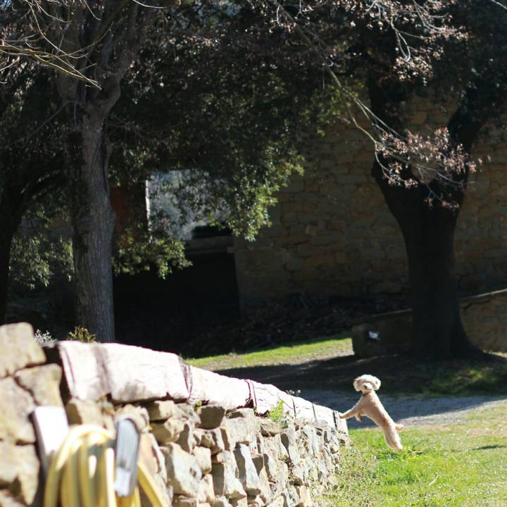 09812cc0 4738 46f7 8dbd f740651513b4 1552553949784