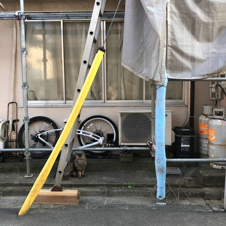 0981392e c030 45bb bde0 f39f422bb1ab 1529687551776