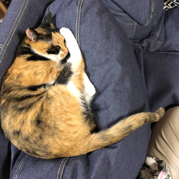 0981ba3f 440b 40b8 b72a c41971061e6c 1533727826888