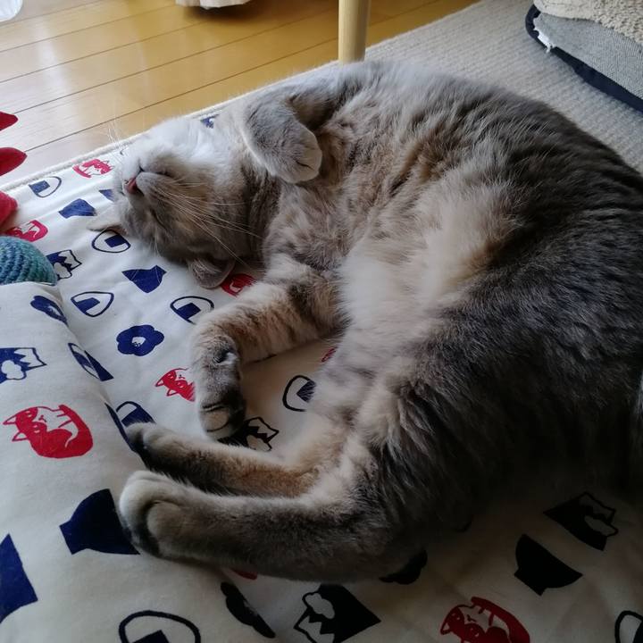 09821b47 6075 459b 8cb2 2e7a5607c34e 1534564601445