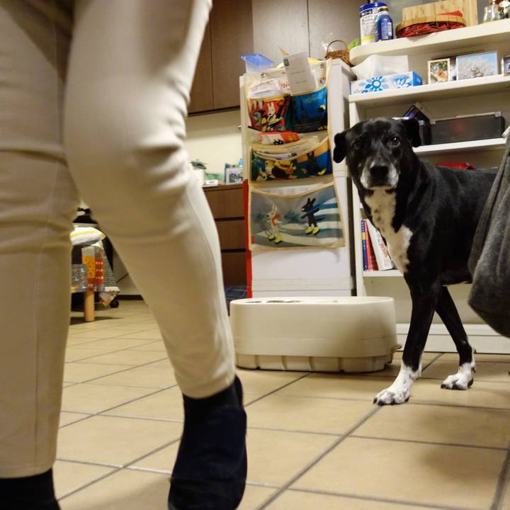 098226aa fe27 4db3 b515 fb73ba585822 1731669350639