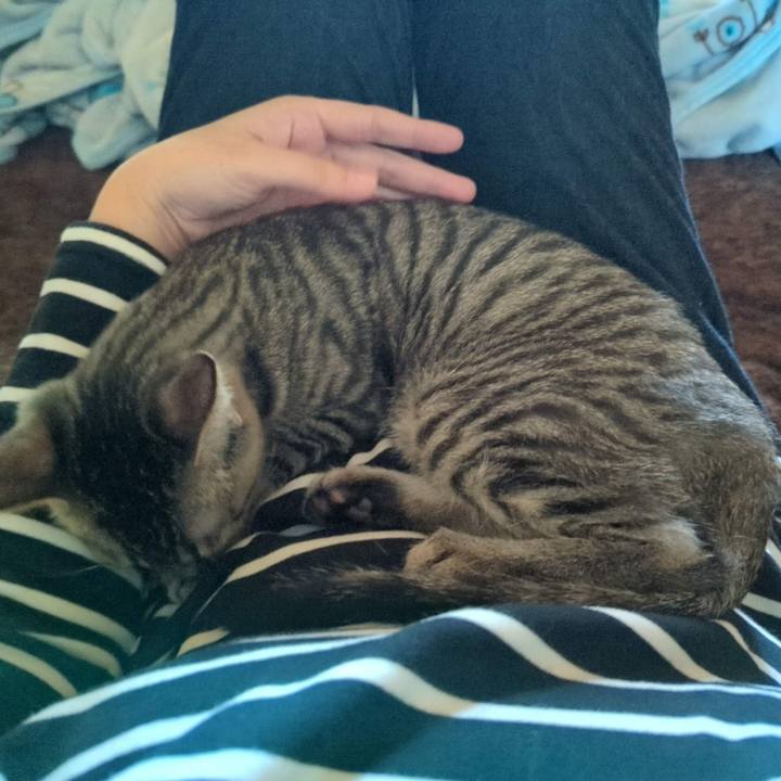 098247f9 77dd 4d83 86ee a6596d4ecd61 1704522641735