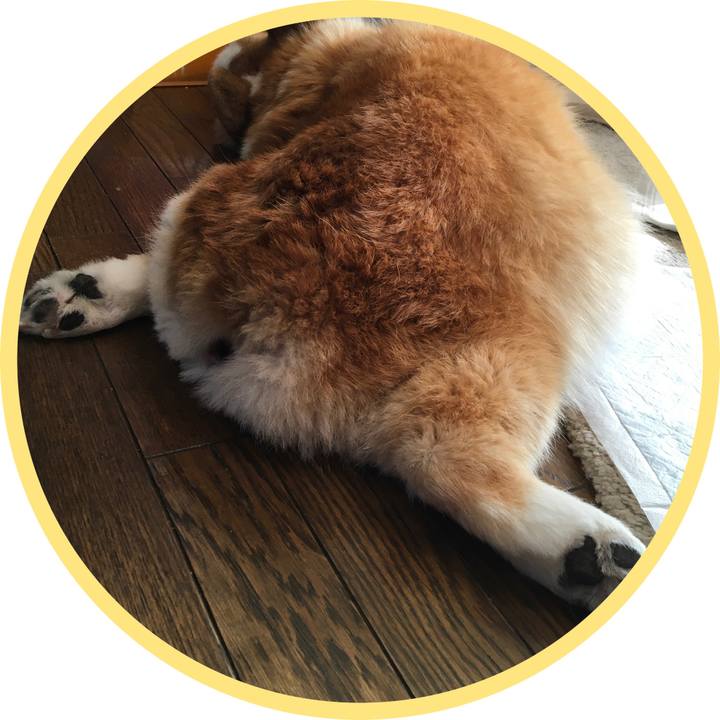 09827061 fea1 4e0a 914e e0667ce4a6fe 1579522188645