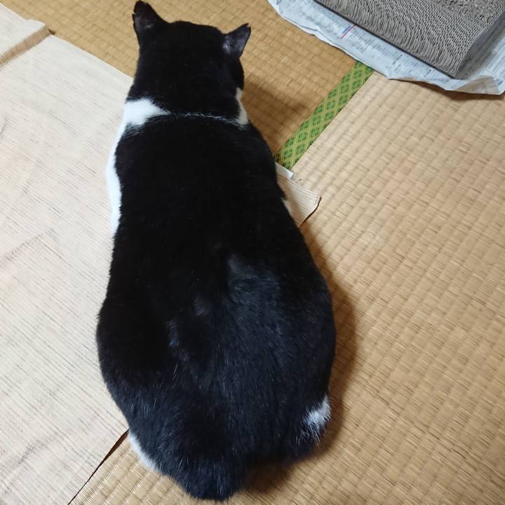 098275ef d6ac 4c32 b8d9 4e932ac49caa 1601376919792