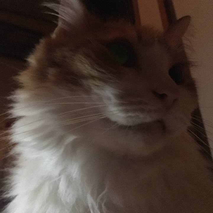 0982873f 5637 43fe 9603 ca1eeb7f5339 1538766748007