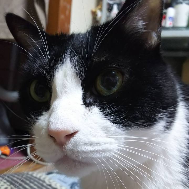 0982a0a8 3888 4c81 9388 d77a821aad74 1575237295466