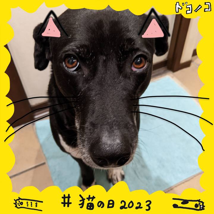 0982a9e2 d5d5 42d3 b83c e3af3c422551 1677027615915