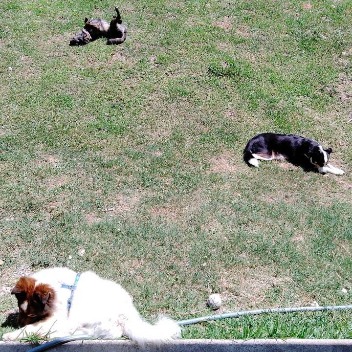 0982cb39 5f9e 4fb6 968e 57b4f69b6392 1622128856279