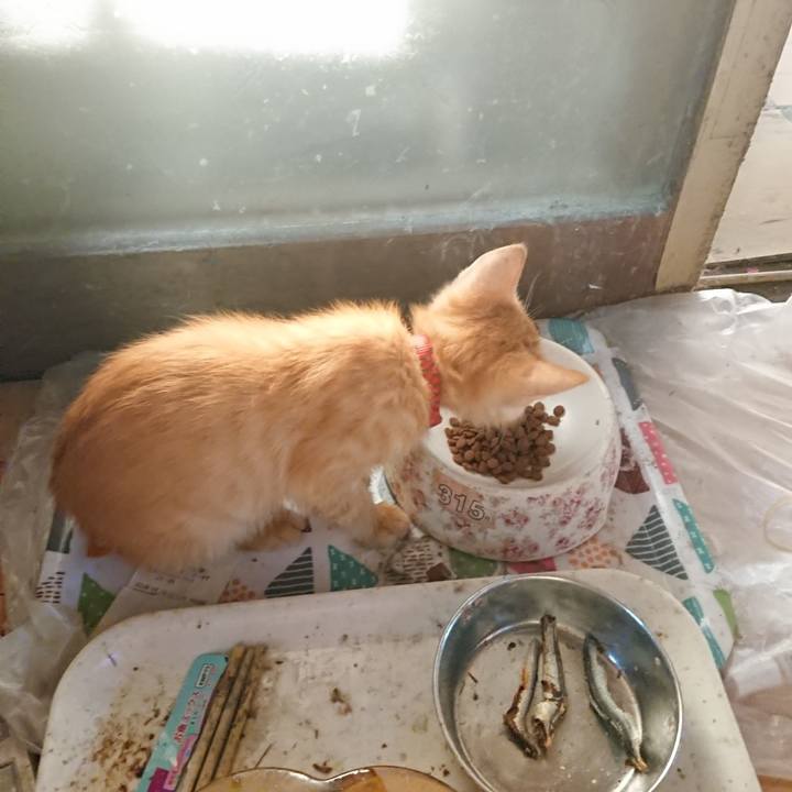 0982dc57 e98f 45a4 9cd4 48fd96c26b45 1630188526606