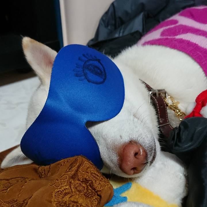 0982f59d 8c1f 4aef a1d4 9571ee2e4f89 1511868792191