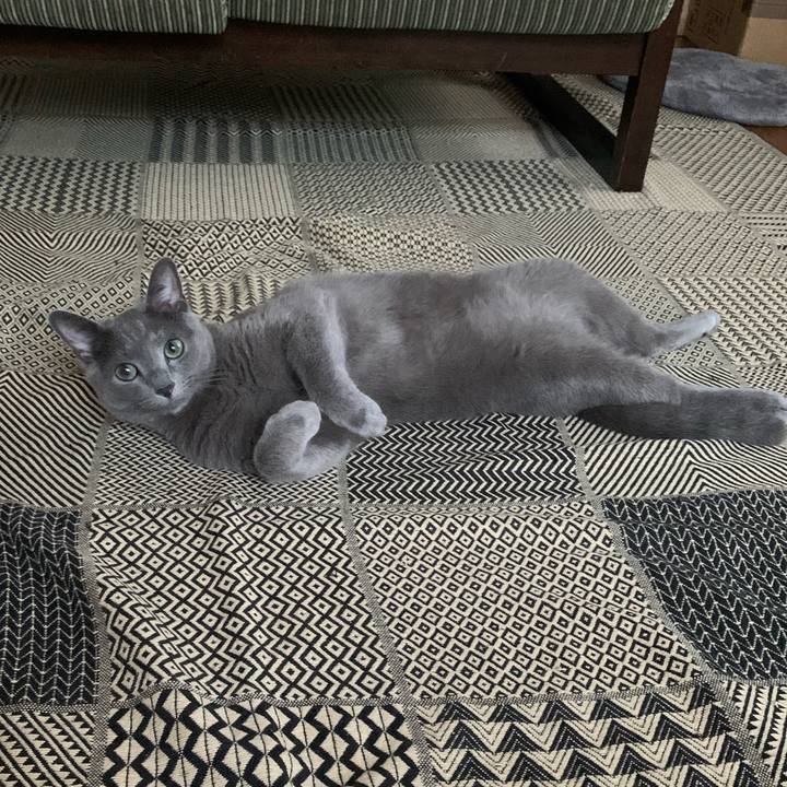 0982f889 96c3 4d76 8daa 875976c0fbb3 1599168933931