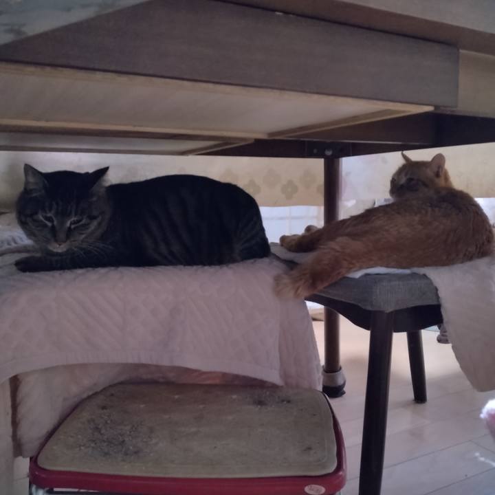 09830ad2 f1bb 4c35 8650 c233ee91f968 1674690751766