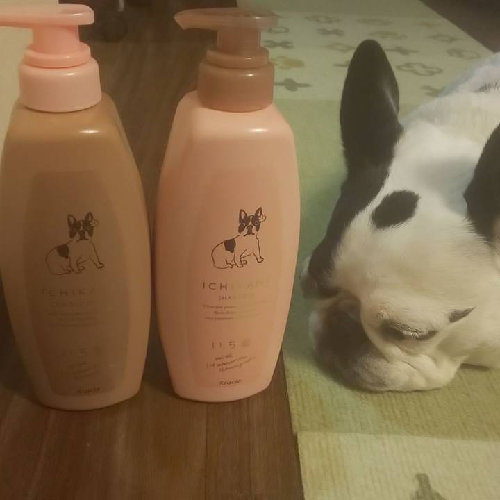 098311ce 5412 40f7 9195 22620af0e917 1638097022202