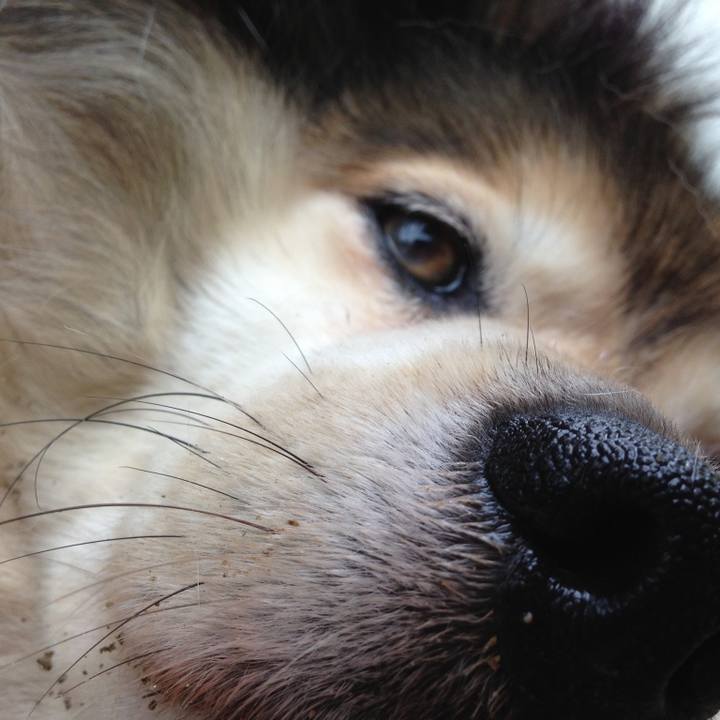 09833af7 395e 4b6f 83ea 52a198059503 1616722292328