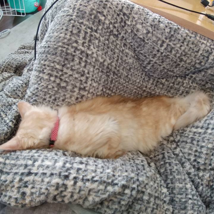 098352df 35da 4f62 af2e 62c0c5ae5c64 1607667161996