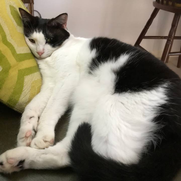 098384b0 68e3 487d 8095 f37a74b0c997 1569542390325