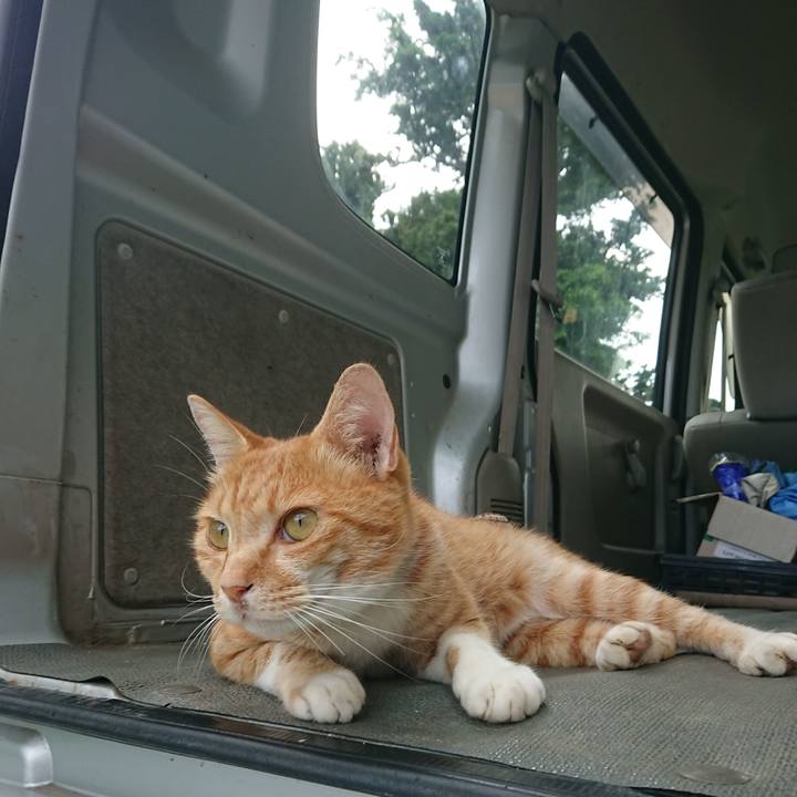 0983d733 8745 447b b17a 44a4ea6130f3 1596790695793