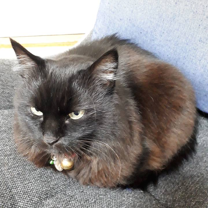 0984a72c 045e 495b a416 cfc69f47894d 1548105981960