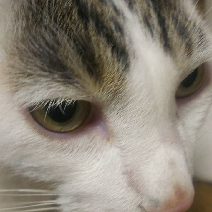 0984a766 ccbf 43f4 8f44 3267b692a964 1564789857810