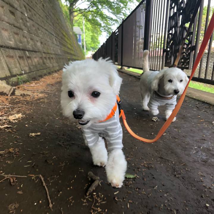 0984b057 52d6 4109 b6e7 ccc06eb146e6 1524101045637