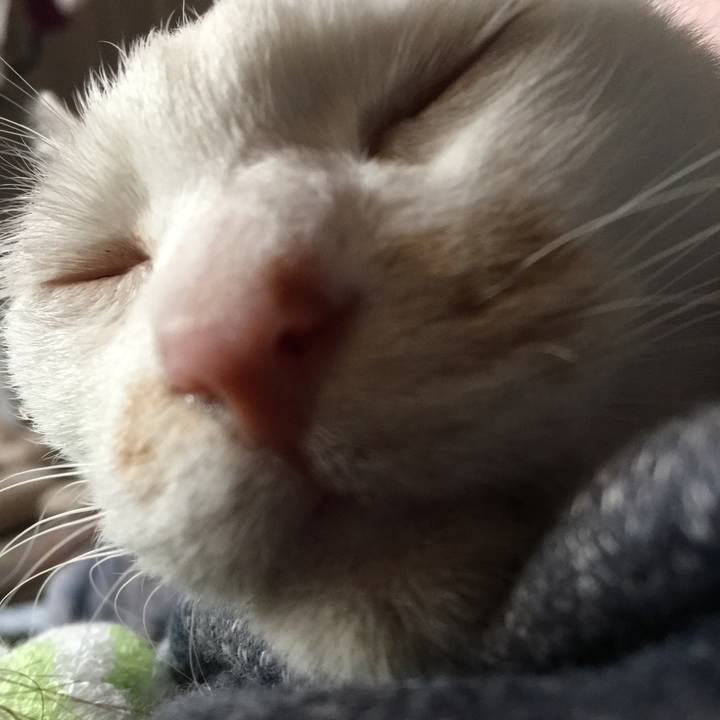 0984b7f3 edb9 4b71 a147 6c682b1cf713 1539998057279