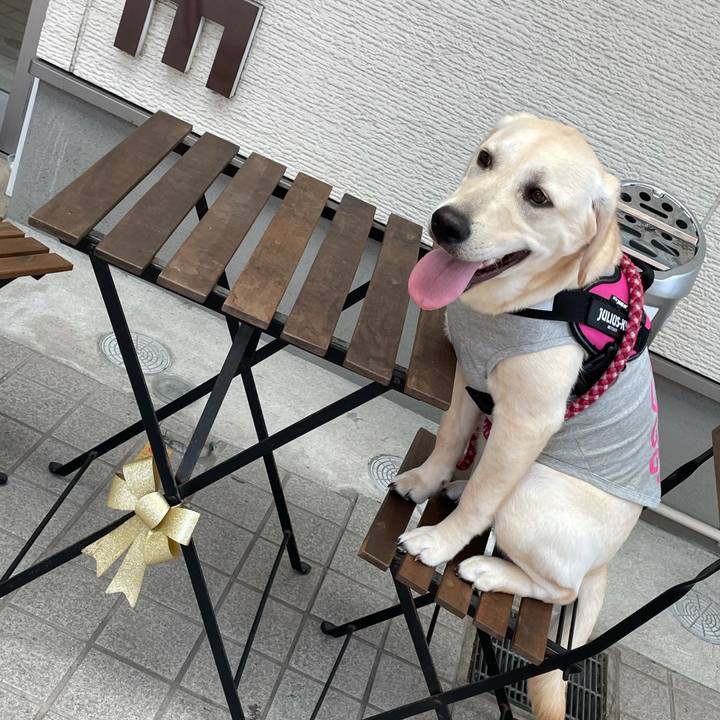 0984d1a1 3c89 439c 8f2a ff56925570fc 1623239762037