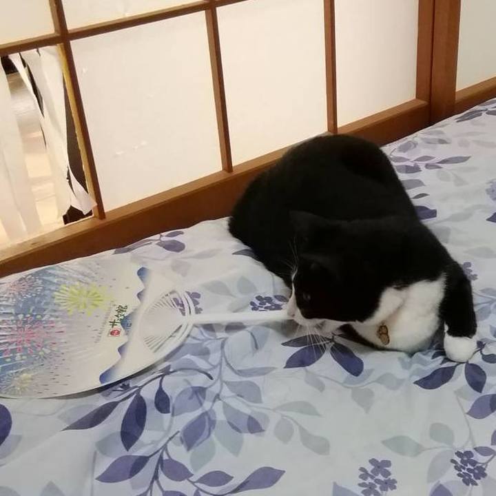 098545d1 d9a3 4e35 9ea6 8345e78b74c8 1557805466625