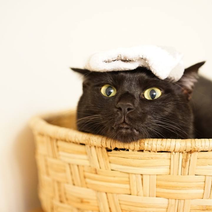 09854891 333c 4b41 8ace f2450f369bad 1547768661592