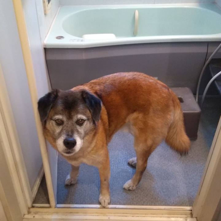 09854ef9 12bc 49f9 b920 314dc3e56937 1560220094454