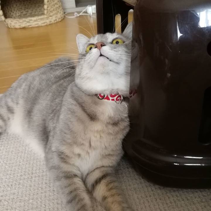 0985ce48 4f0f 4b73 a224 9849ecd433e5 1536292062375